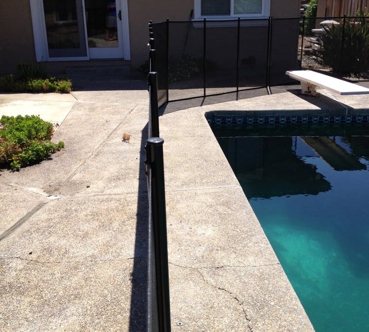 Swimming Pool Fences