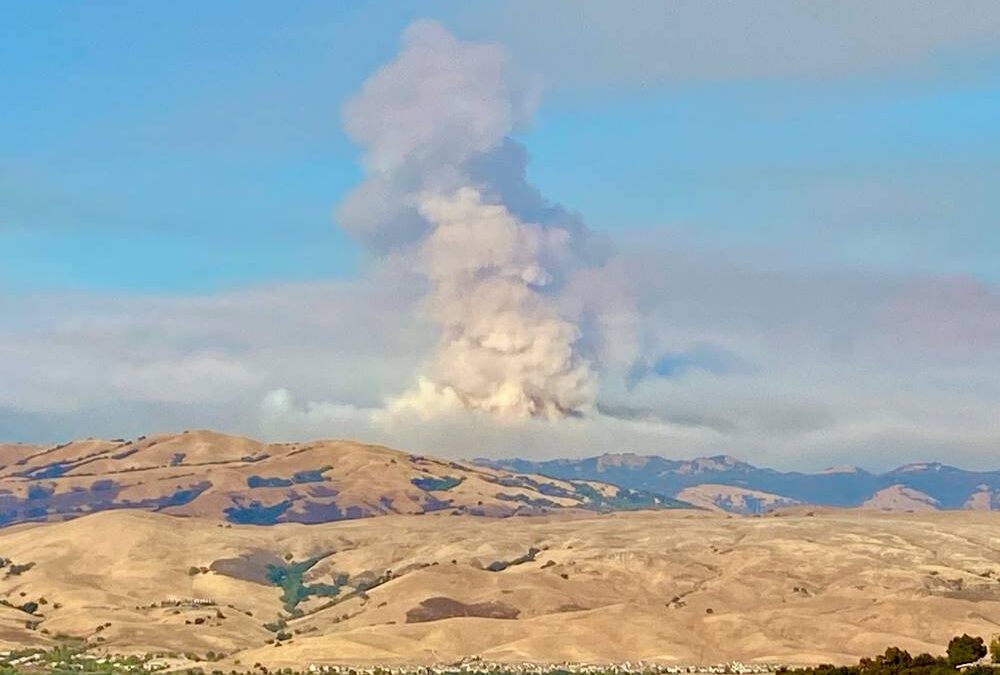 Free Pool Fence Quotes