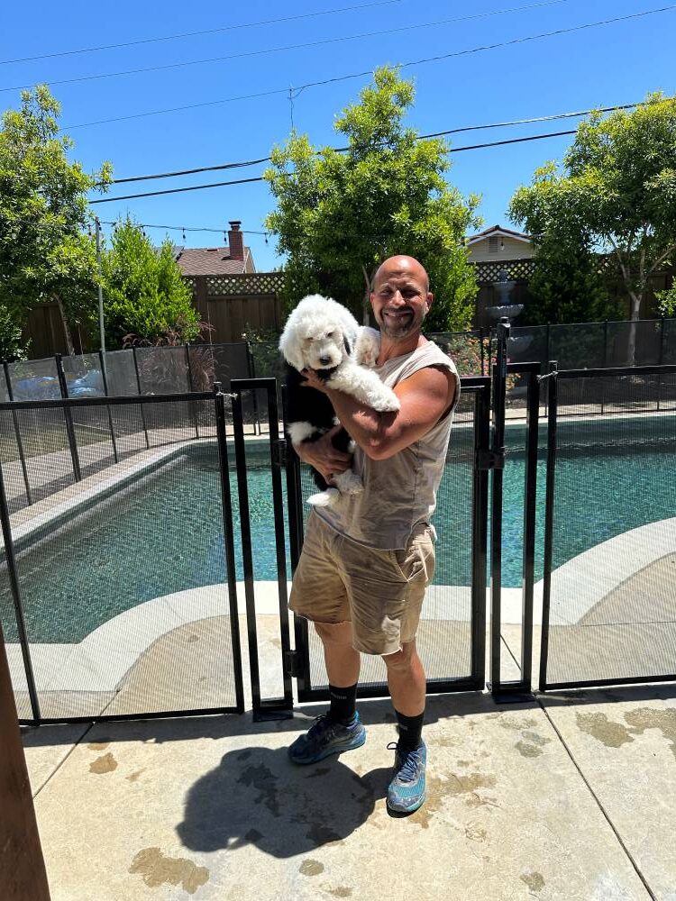 Your Family Swimming Pool Guardian Your Family Swimming Pool Guardian