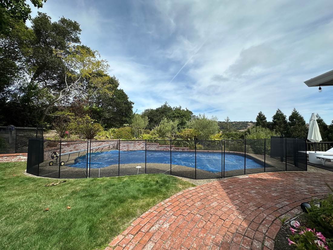 Essential Pool Fence