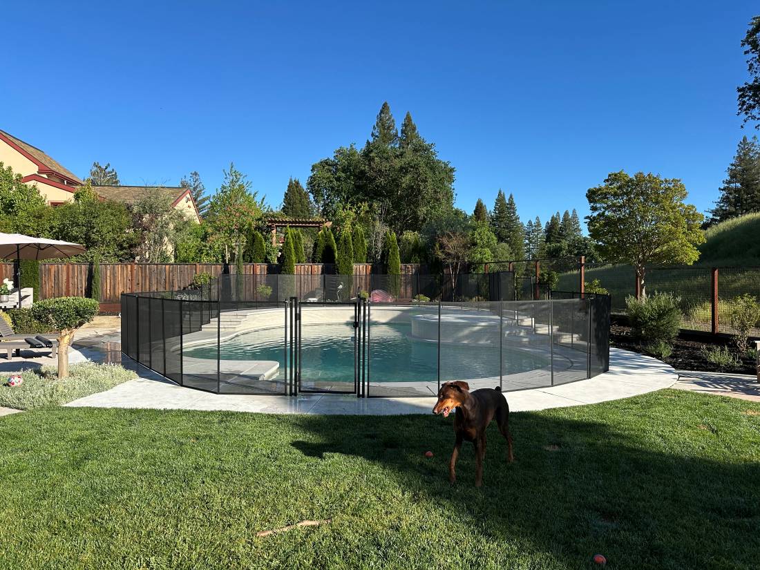 The Safe Pool Fence Company